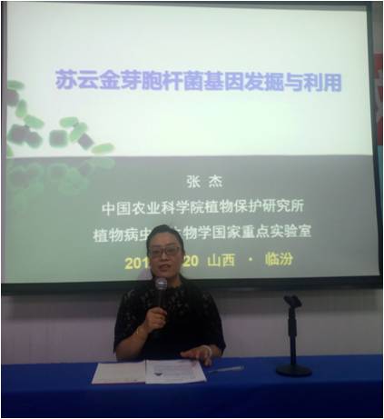 (王祎玲主持报告会)